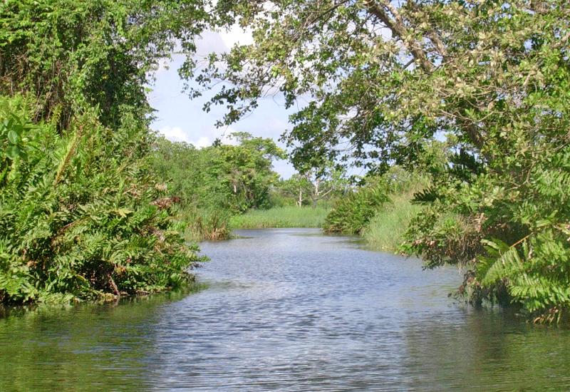 Grande rivière à Goyaves - ville de Lamentin, en Guadeloupe. Parcourant le bassin lamentinois