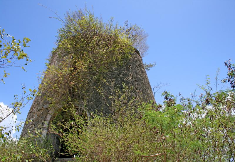 Moulin de Gissac - Sainte-Anne : baie et fenêtre